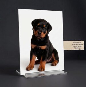 Producto Retrato metálico personalizado primer plano
